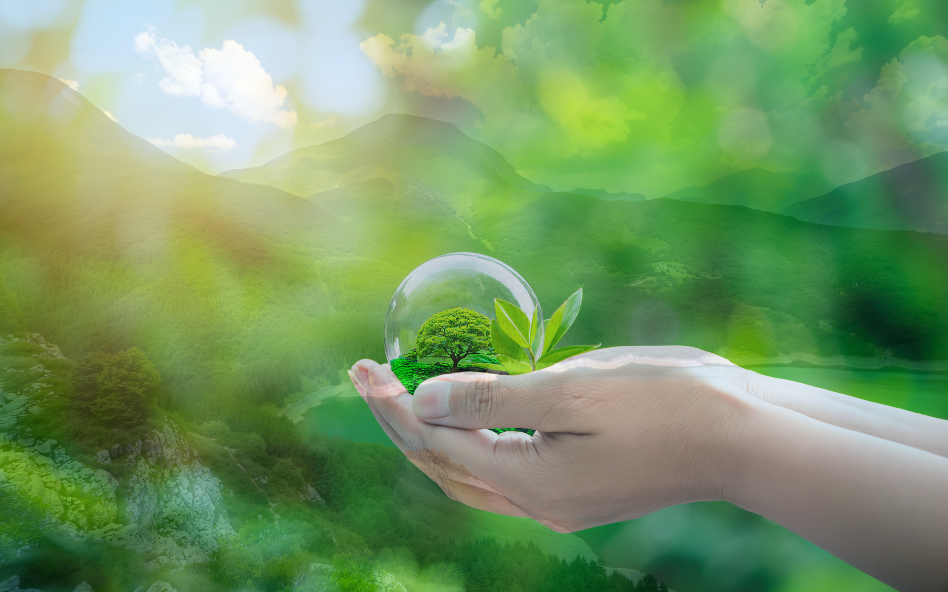 Science, Art and the Environment – Nick Greenall